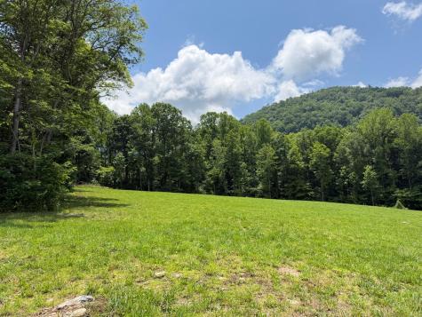 1446 Muskrat Creek Road Hayesville NC 28904