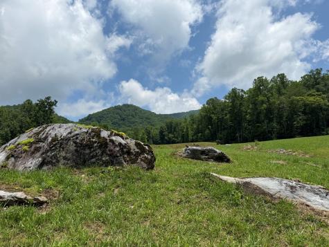 1446 Muskrat Creek Road Hayesville NC 28904