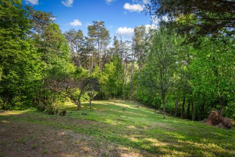 100 Lakeview Drive Turtletown TN 37391