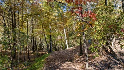 184 Spence Road Blue Ridge GA 30513