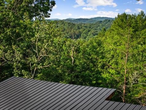 65 Wolf Creek Heights Mineral Bluff GA 30559