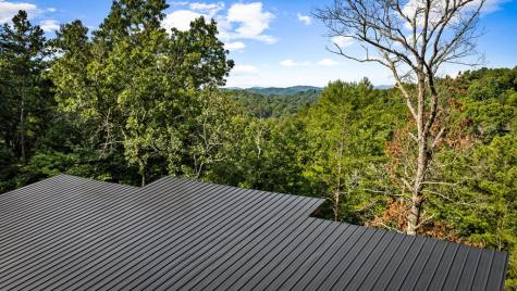 65 Wolf Creek Heights Mineral Bluff GA 30559