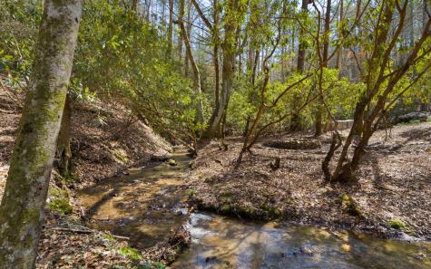 153 Sams Crossing Mineral Bluff GA 30559