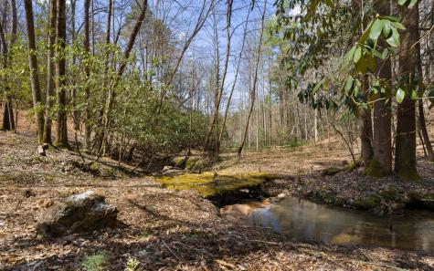 153 Sams Crossing Mineral Bluff GA 30559