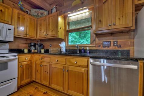 133 Muller Lane Ellijay GA 30540