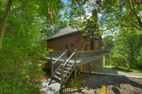 160 Adams Circle Mineral Bluff GA 30559