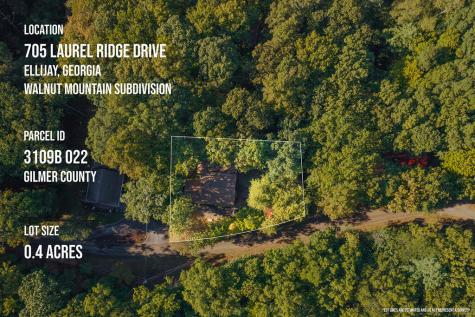 705 Laurel Ridge Drive Ellijay GA 30536