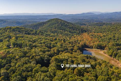 705 Laurel Ridge Drive Ellijay GA 30536