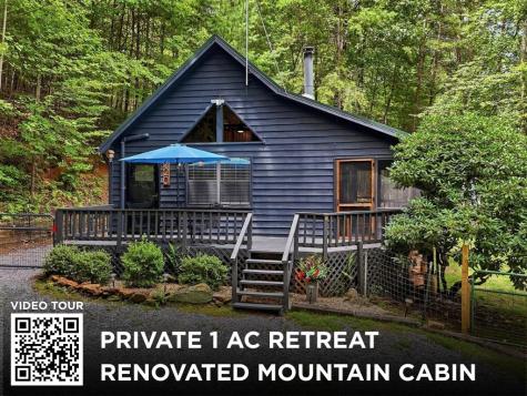220 Oak Loop Mineral Bluff GA 30559