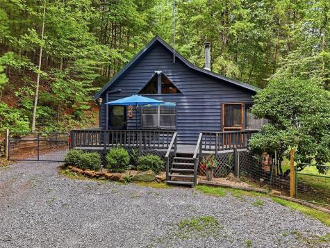 220 Oak Loop Mineral Bluff GA 30559