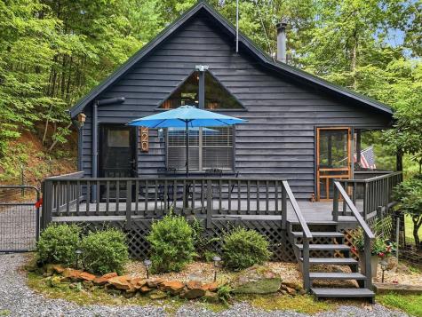 220 Oak Loop Mineral Bluff GA 30559