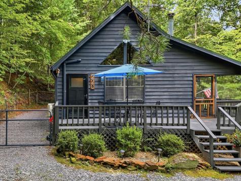 220 Oak Loop Mineral Bluff GA 30559