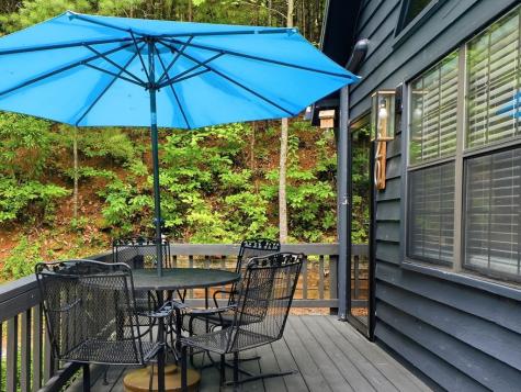 220 Oak Loop Mineral Bluff GA 30559