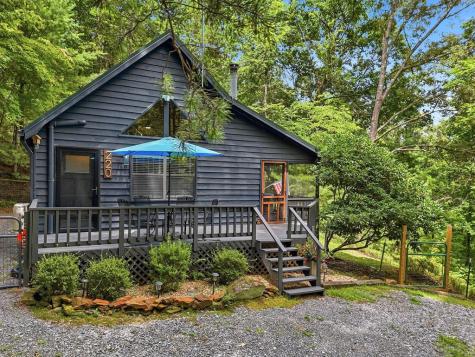 220 Oak Loop Mineral Bluff GA 30559