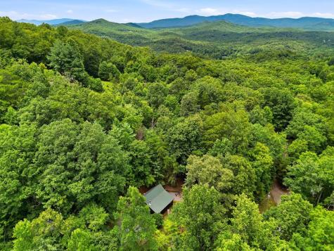 220 Oak Loop Mineral Bluff GA 30559