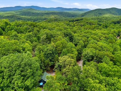 220 Oak Loop Mineral Bluff GA 30559
