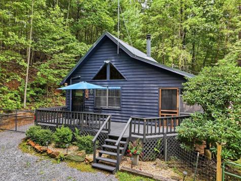 220 Oak Loop Mineral Bluff GA 30559
