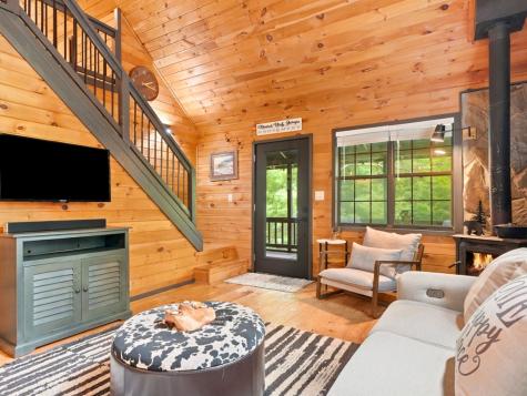 220 Oak Loop Mineral Bluff GA 30559