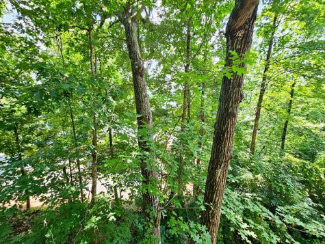 128 Manor Drive Hayesville NC 28904