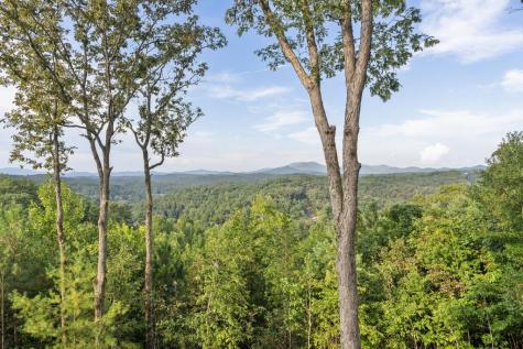 13 Hope Drive Blue Ridge GA 30513