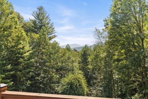 269 Little Creek Drive Cherry Log GA 30522