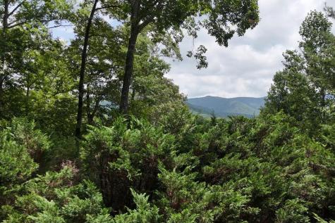 93 Jamie Lane Blairsville GA 30512