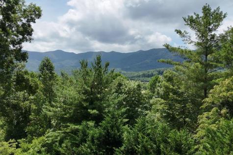 93 Jamie Lane Blairsville GA 30512