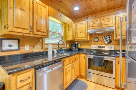 1564 Black Ankle Creek Road Cherry Log GA 30522