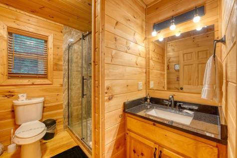 1564 Black Ankle Creek Road Cherry Log GA 30522