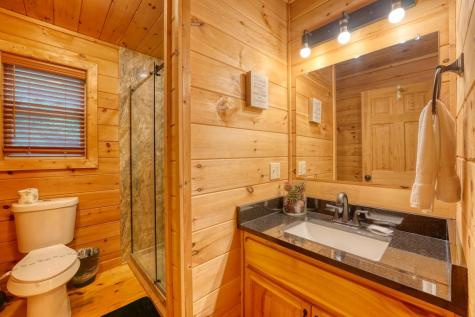 1564 Black Ankle Creek Road Cherry Log GA 30522