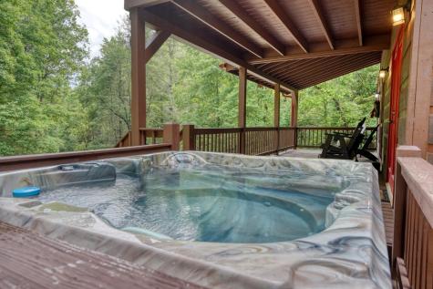 1564 Black Ankle Creek Road Cherry Log GA 30522