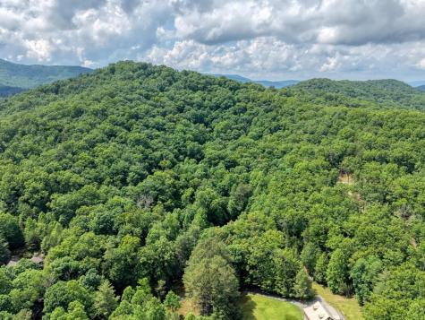 1564 Black Ankle Creek Road Cherry Log GA 30522