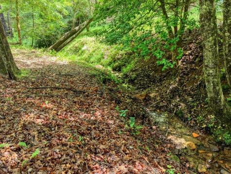 1564 Black Ankle Creek Road Cherry Log GA 30522