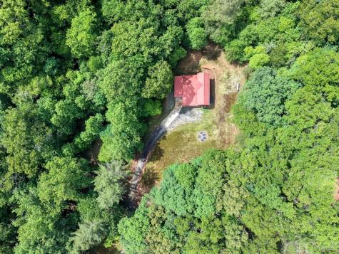 1564 Black Ankle Creek Road Cherry Log GA 30522