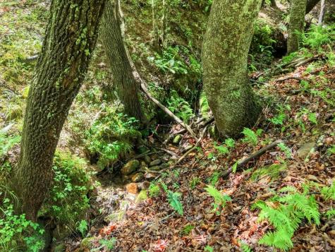 1564 Black Ankle Creek Road Cherry Log GA 30522