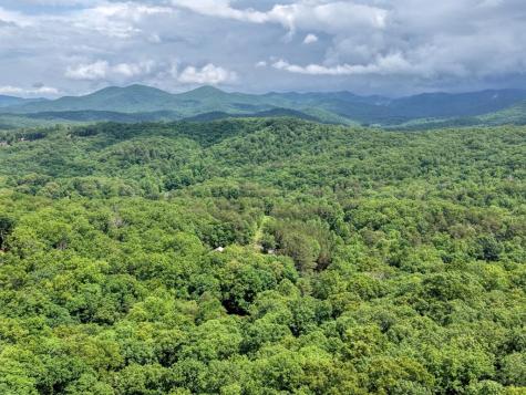 1564 Black Ankle Creek Road Cherry Log GA 30522
