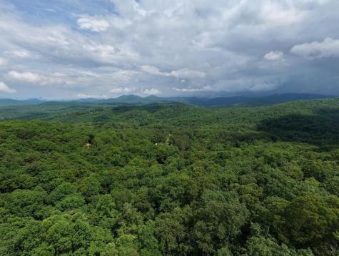 1564 Black Ankle Creek Road Cherry Log GA 30522