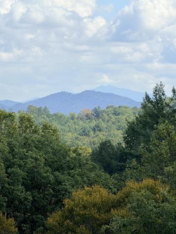 99 Old Possum Way Murphy NC 28906