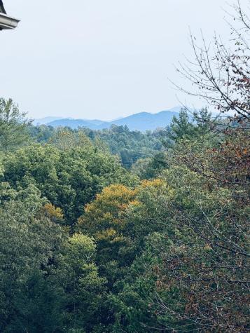 99 Old Possum Way Murphy NC 28906