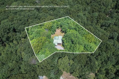 801 Davenport Mountain Road Blue Ridge GA 30513