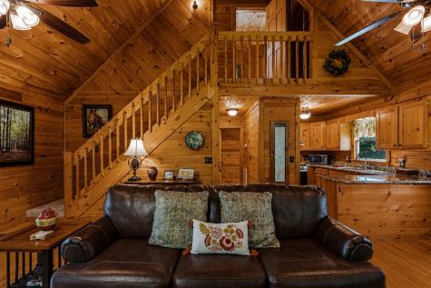 801 Davenport Mountain Road Blue Ridge GA 30513