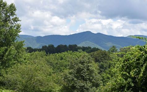 15 Coker Hill Drive Hayesville NC 28904