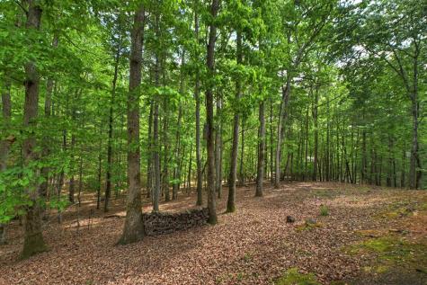 366 Shepherds Way Morganton GA 30560