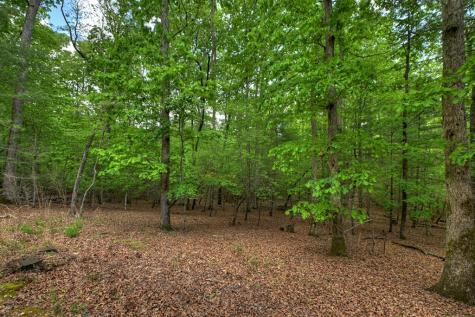 366 Shepherds Way Morganton GA 30560