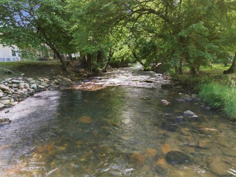 87 Laughing Waters Lane Hayesville NC 28904