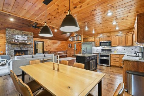 350 Kensington Drive Mineral Bluff GA 30559