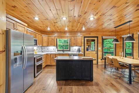 350 Kensington Drive Mineral Bluff GA 30559
