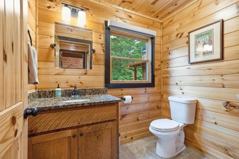 350 Kensington Drive Mineral Bluff GA 30559