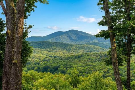 731 Native Trail Blue Ridge GA 30513