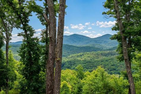 731 Native Trail Blue Ridge GA 30513